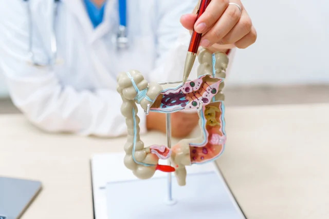 Darmgesundheit & Allergien